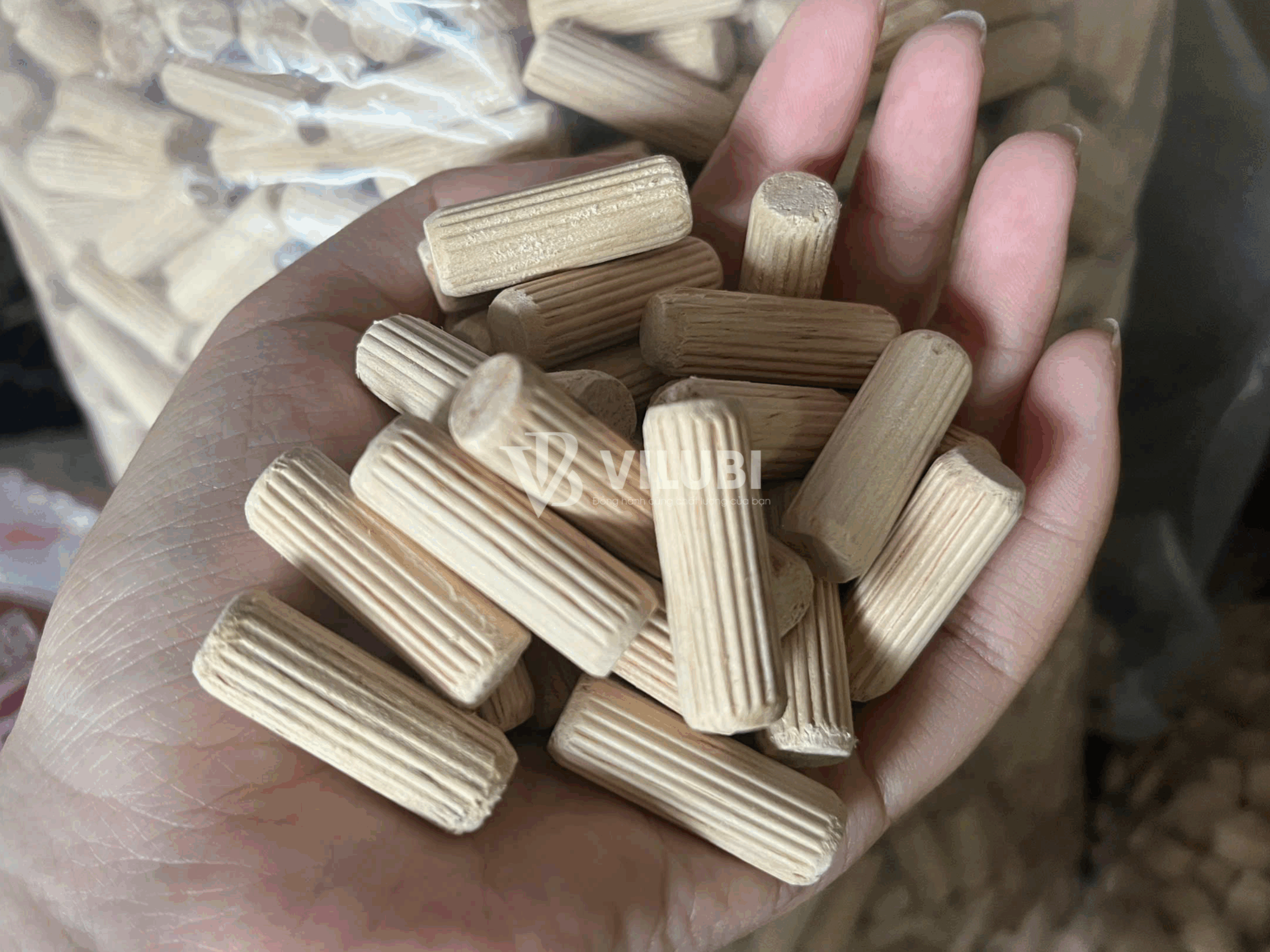 chốt gỗ 7 chốt gỗ