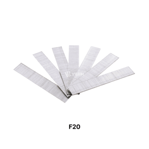 Đinh F20