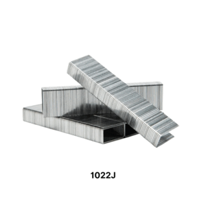 Đinh J1022