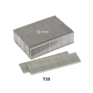 Đinh T25